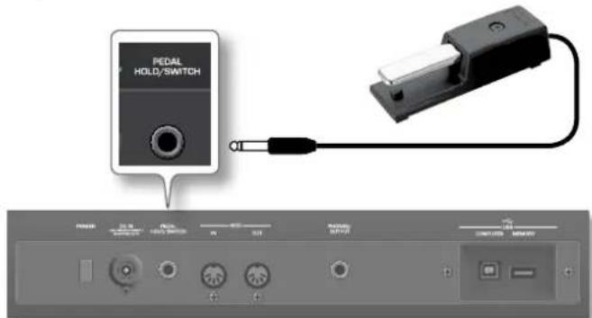 PEDAL HOLD/SWITCH