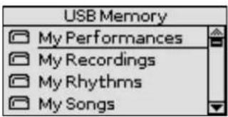 USB Memory My Performances My Recordings My Rhythms My Songs
