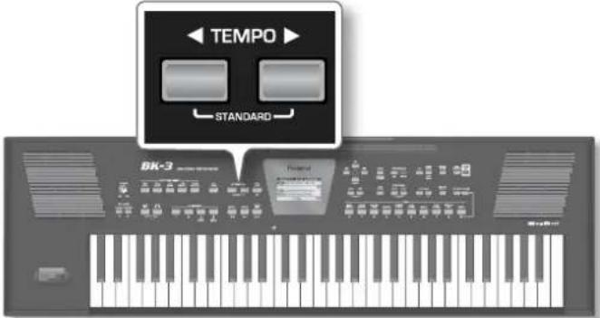 TEMPO STANDARD BK-3