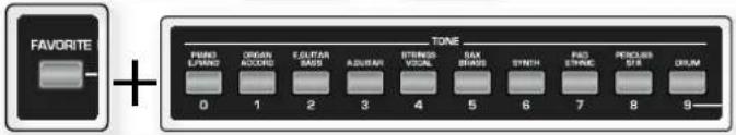 ROLAND BK-3-BK - ITALY - 13