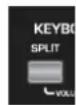 ROLAND BK-3-BK - Authorization screen (Enter Passphrase) - 1