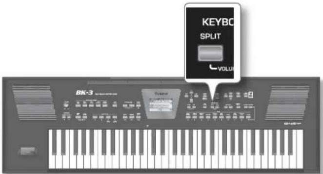 KEYBC SPLIT VOLUI BK-3