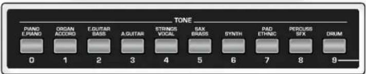 ROLAND BK-3-BK - ITALY - 2