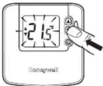 21.5°C (Iamagravall)