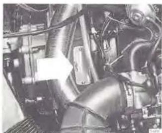 Close-up of an automotive engine bay with visible hoses and components (no text or symbols)