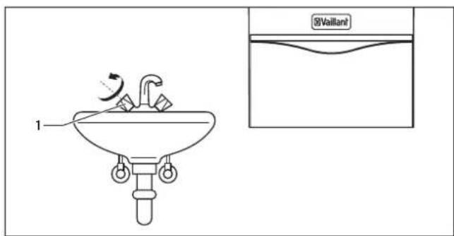 1 Vaillant