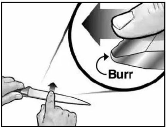 Burr