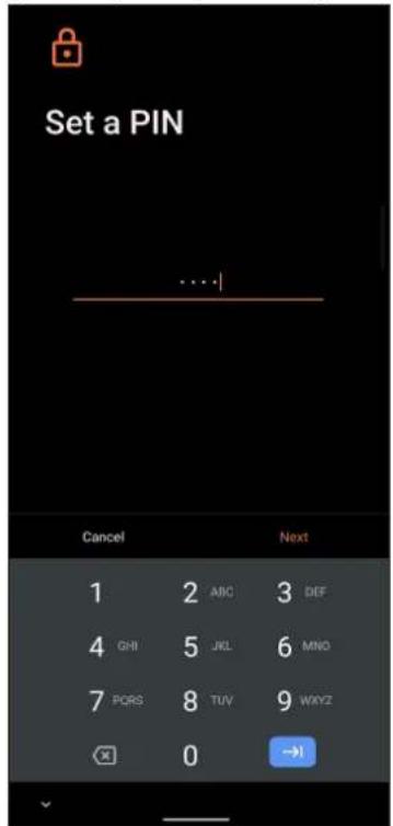 ASUS ROG Phone 6D - Potažení - 2