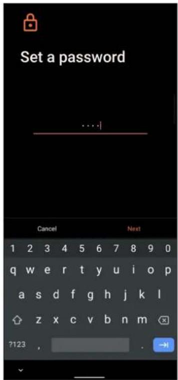 Set a password ... Cancel Next 1 2 3 4 5 6 7 8 9 0 q w e r t y u i o p a s d f g h j k l z x c v b n m ?123 , -91