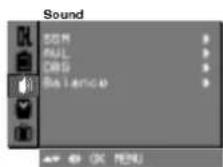 LG RT-29FD15VE - ضبط الصوت - 4