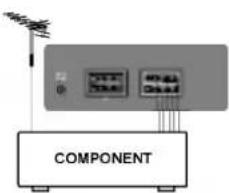 COMPONENT