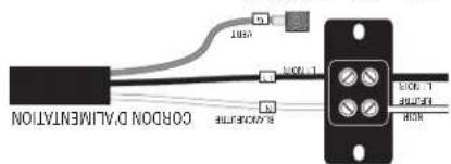 COROON DUALMENTATION