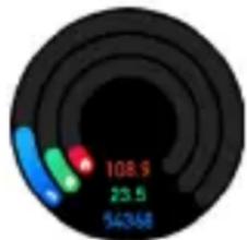 Niceboy Watch GTR - Herzfrequenz - 1