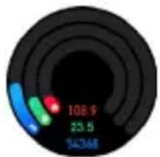Niceboy Watch GTR - Puls - 1