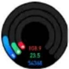 Niceboy Watch GTR - Srdeční tep - 1