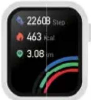22608 Step 463 kcal 3.08 um