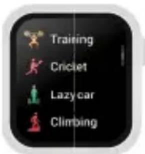 Niceboy WATCH Lite 3 - Funkcje sportowe - 1