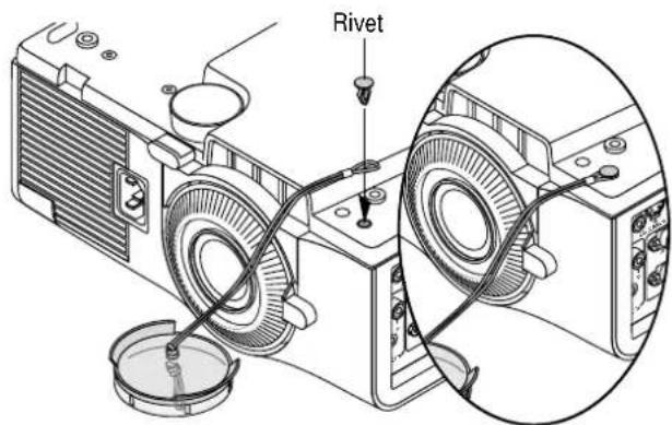 Rivet