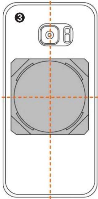 SKS Compit+/Power - COMPIT UNIVERSAL COVER - 2