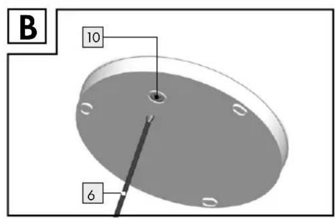 B 10 6
