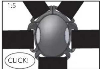 1:5 CLICK!