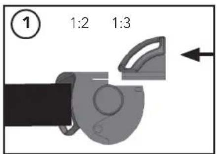 ① 1:2 1:3