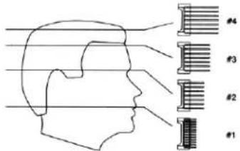 Diagram of human head with labeled parts numbered 1 to 4, showing structural components and alignment lines.
