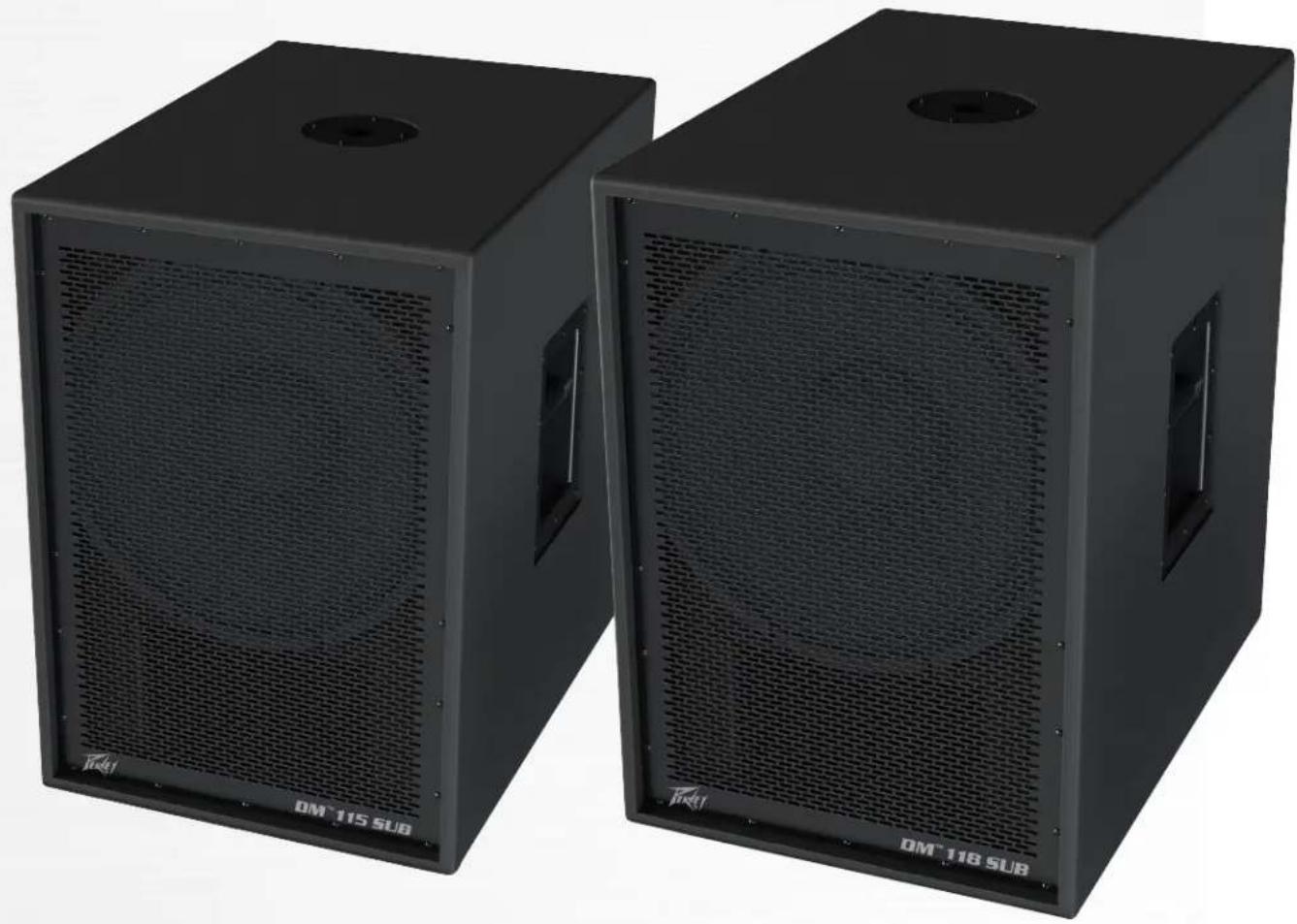 PEAVEY DM 118 - Vented Bass Powered Subwoofer System - 1