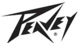 PEAVEY DM 118 - CHECK FOR SECURE HARDWARE - 1