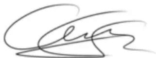 Abstract line drawing with curved strokes and a wavy base (no text or symbols)