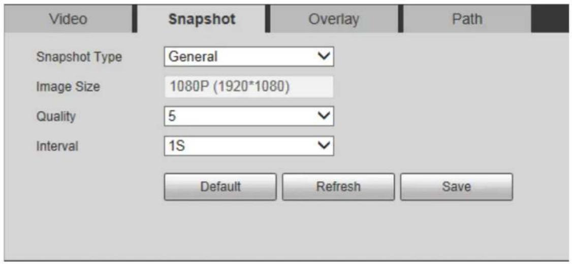 Video Snapshot Overlay Path Snapshot Type General Image Size 1080P (1920*1080) Quality 5 Interval 1S Default Refresh Save