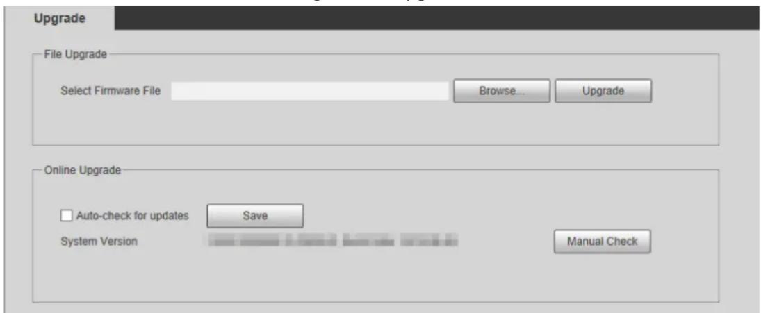 Upgrade File Upgrade Select Firmware File Browse... Upgrade Online Upgrade Auto-check for updates Save System Version Manual Check