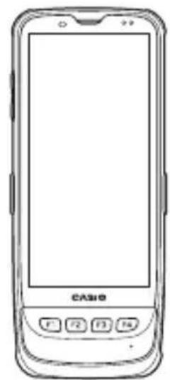 CASIO IT-G600 - Accessories and Options - 2