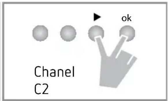 Chanel C2 ok