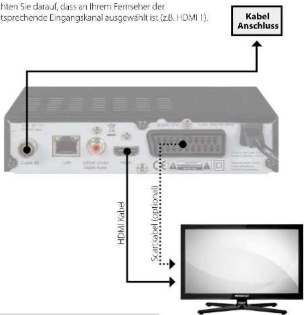 Kabel Anschluss HDMI Kabel Scarckabel (optional)