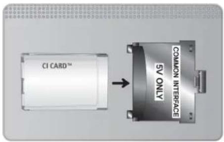 CI CARD™ COMMON INTERFACE SV ONLY
