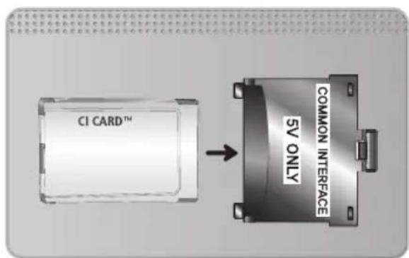CI CARD™ COMMON INTERFACE 5V ONLY