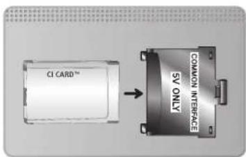 CI CARD™ COMMON INTERFACE 5V ONLY
