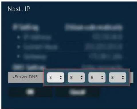 Nast. IP Fasting • Server DNS 8 8 8 8