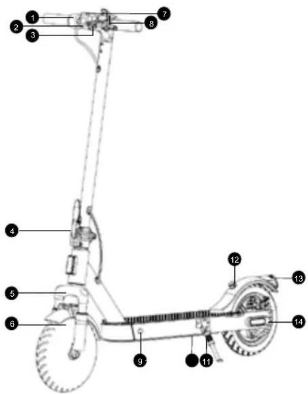 SENCOR SCOOTER S30 - Popis koloběžky SCOOTER S30 - 1
