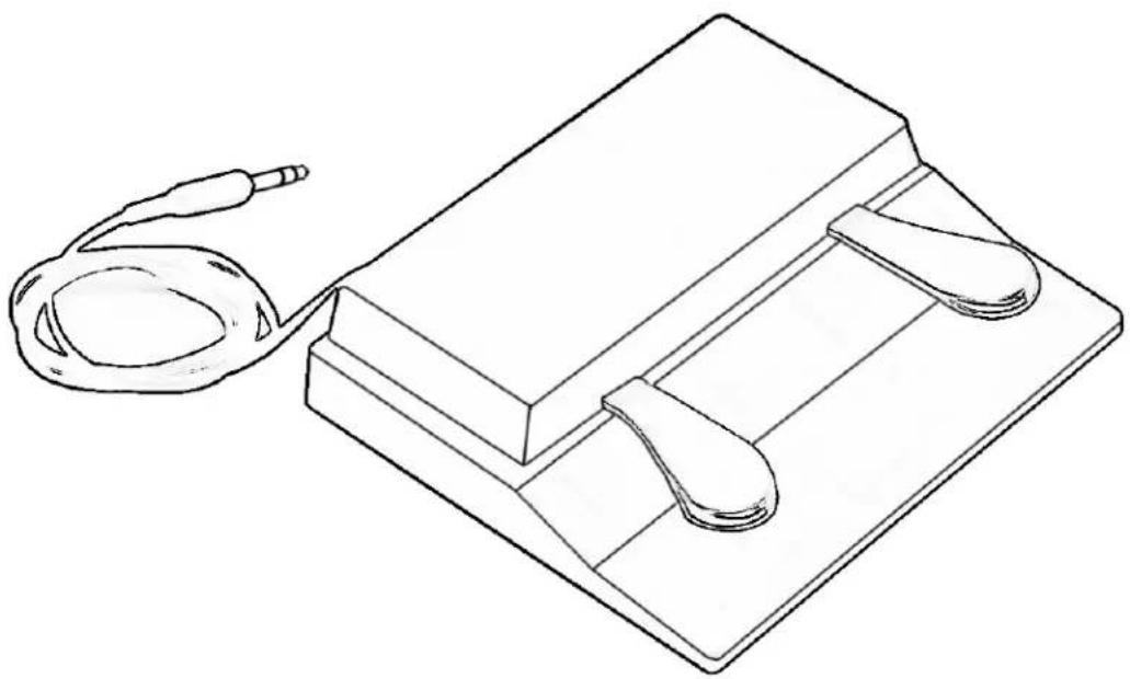 Kurzweil Rumour - Footpedal - 1