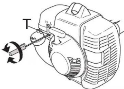 T
