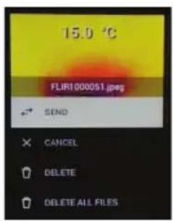 15.0 °C FLIR1000051.jpg SEND × CANCEL ○ DELETE ○ DELETE ALL FILES