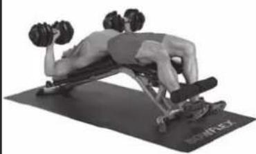 BOWFLEX SelectTech BF1090i - Success tips - 2