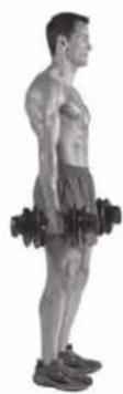 BOWFLEX SelectTech BF1090i - Success tips - 2