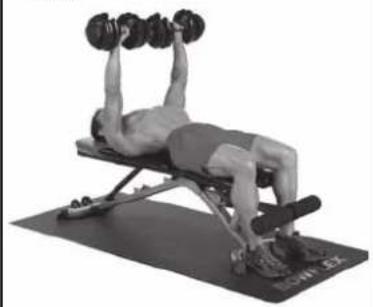 BOWFLEX SelectTech BF1090i - Success tips - 3
