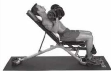 BOWFLEX SelectTech BF1090i - Success tips - 2