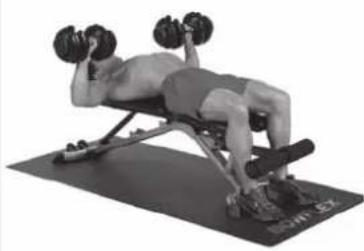 BOWFLEX SelectTech BF1090i - Success tips - 2