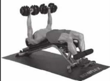 BOWFLEX SelectTech BF1090i - Success tips - 3