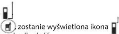 zostanie wyświetlona ikona